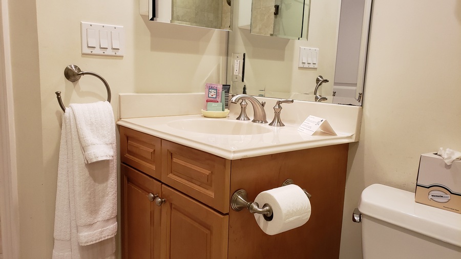 Master Bath Vanity